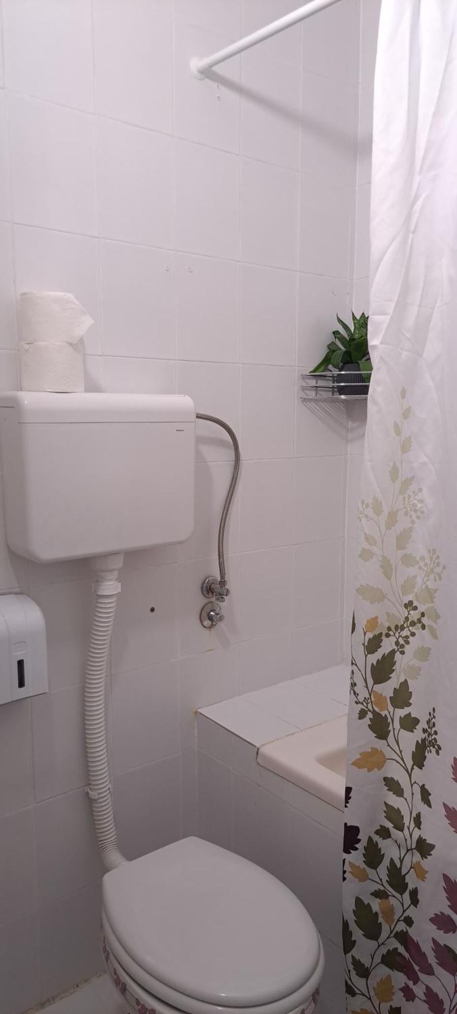 Green Land House Belgrado Esterno foto